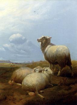 Thomas Sidney Cooper : Sheep At Pasture